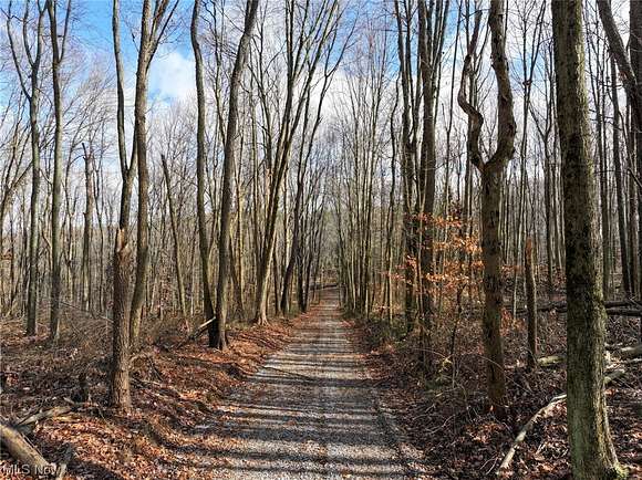 54 Acres of Recreational Land for Sale in Danville, Ohio