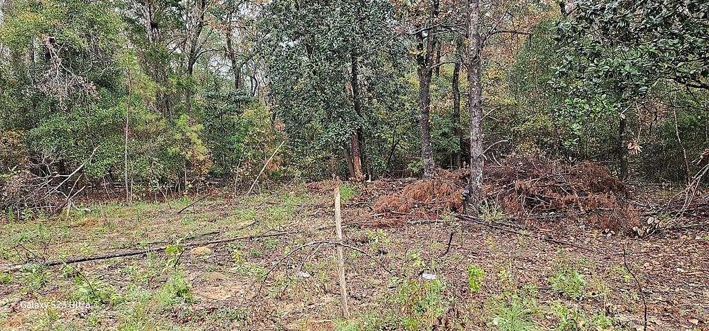 Residential Land for Sale in Georgetown, Georgia