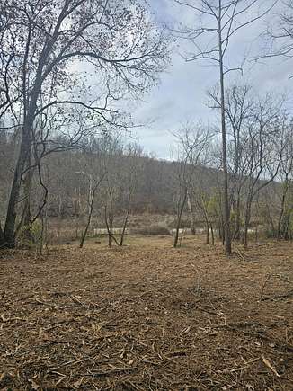 1 Acre of Residential Land for Sale in Omaha, Arkansas