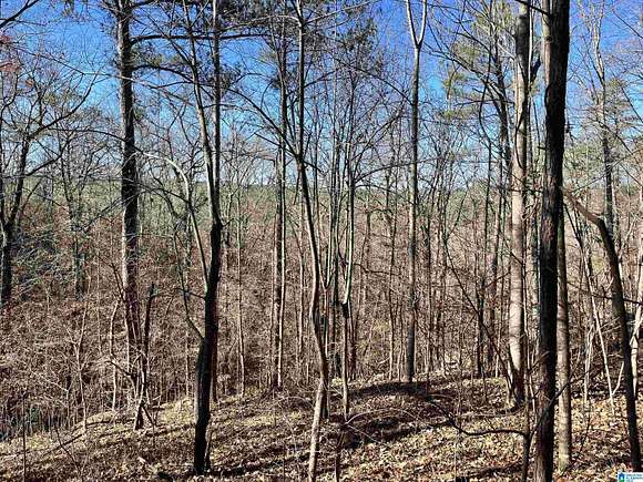 6.9 Acres of Residential Land for Sale in Pell City, Alabama