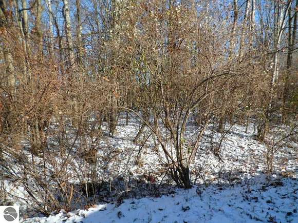 0.31 Acres of Residential Land for Sale in Lake Isabella, Michigan