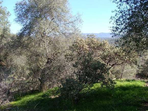 1.5 Acres of Residential Land for Sale in Coarsegold, California