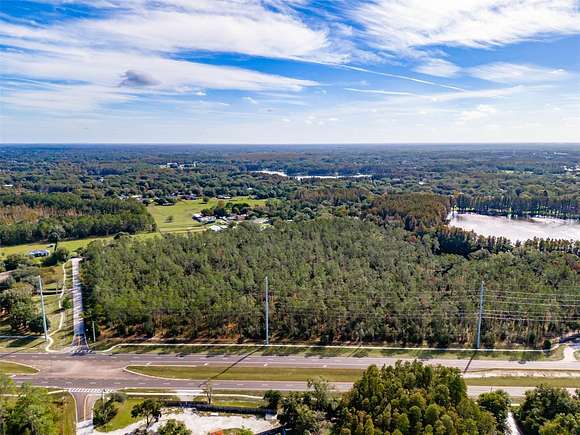 24.5 Acres of Land for Sale in Lutz, Florida