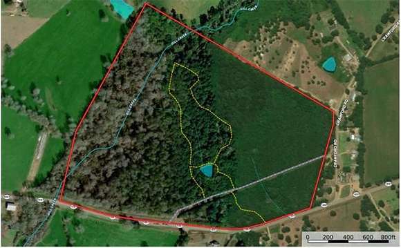 89.5 Acres of Recreational Land for Sale in Kentwood, Louisiana