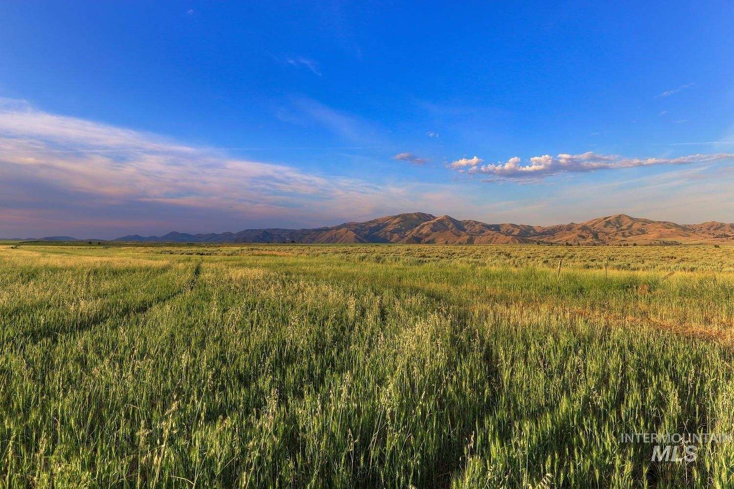 40 Acres of Recreational Land for Sale in Prairie, Idaho