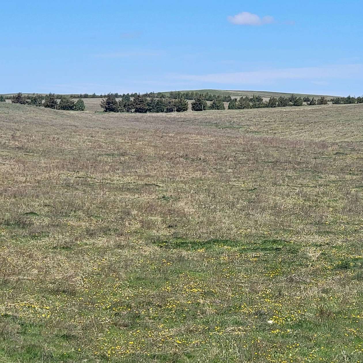 492 Acres of Recreational Land & Farm for Sale in Kimball, Nebraska