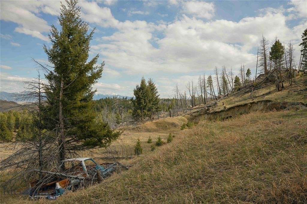 27.5 Acres of Agricultural Land for Sale in Whitehall, Montana