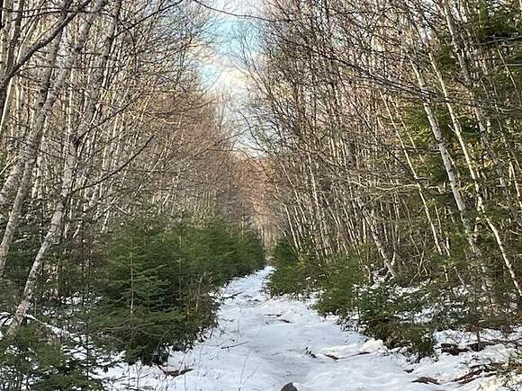 88 Acres of Recreational Land for Sale in Wellington, Maine