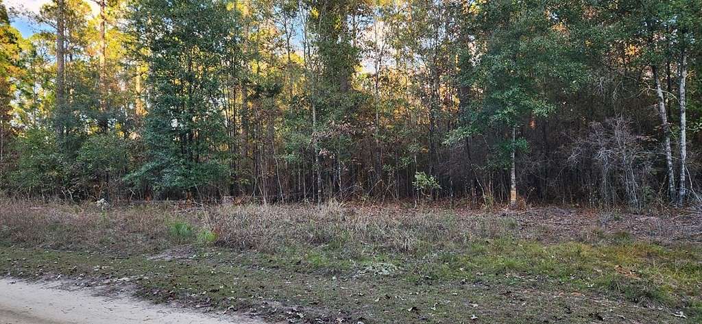 1.11 Acres of Residential Land for Sale in Fort Gaines, Georgia