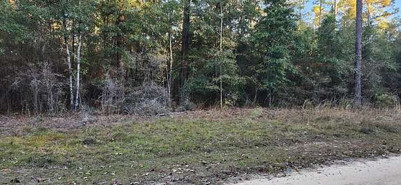 1.1 Acres of Residential Land for Sale in Fort Gaines, Georgia