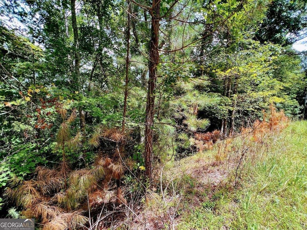 0.53 Acres of Residential Land for Sale in Ellijay, Georgia