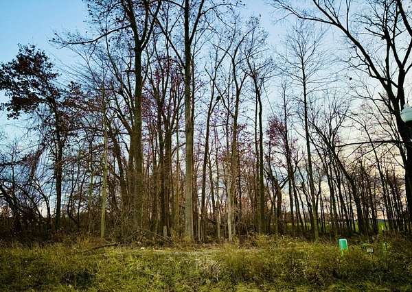 0.52 Acres of Residential Land for Sale in Celina, Ohio