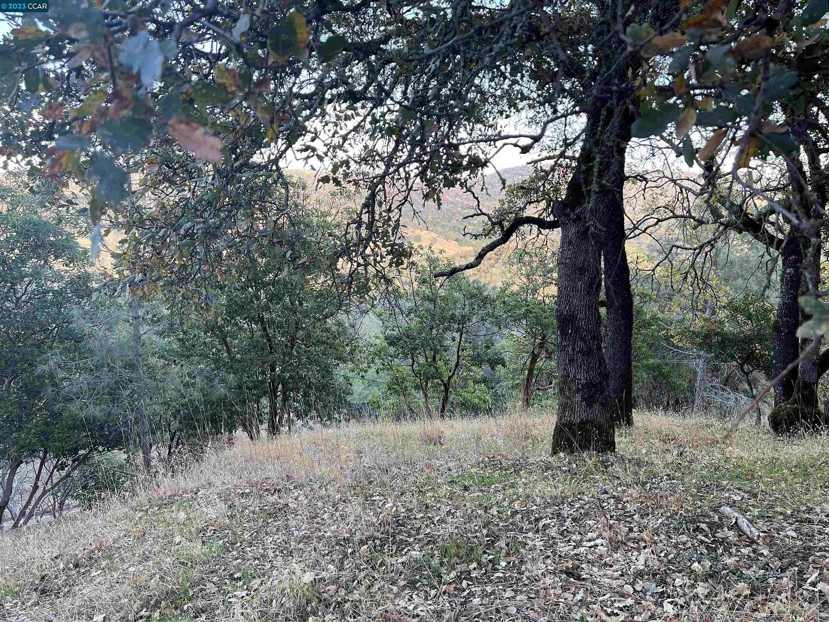 0.24 Acres of Residential Land for Sale in Napa, California