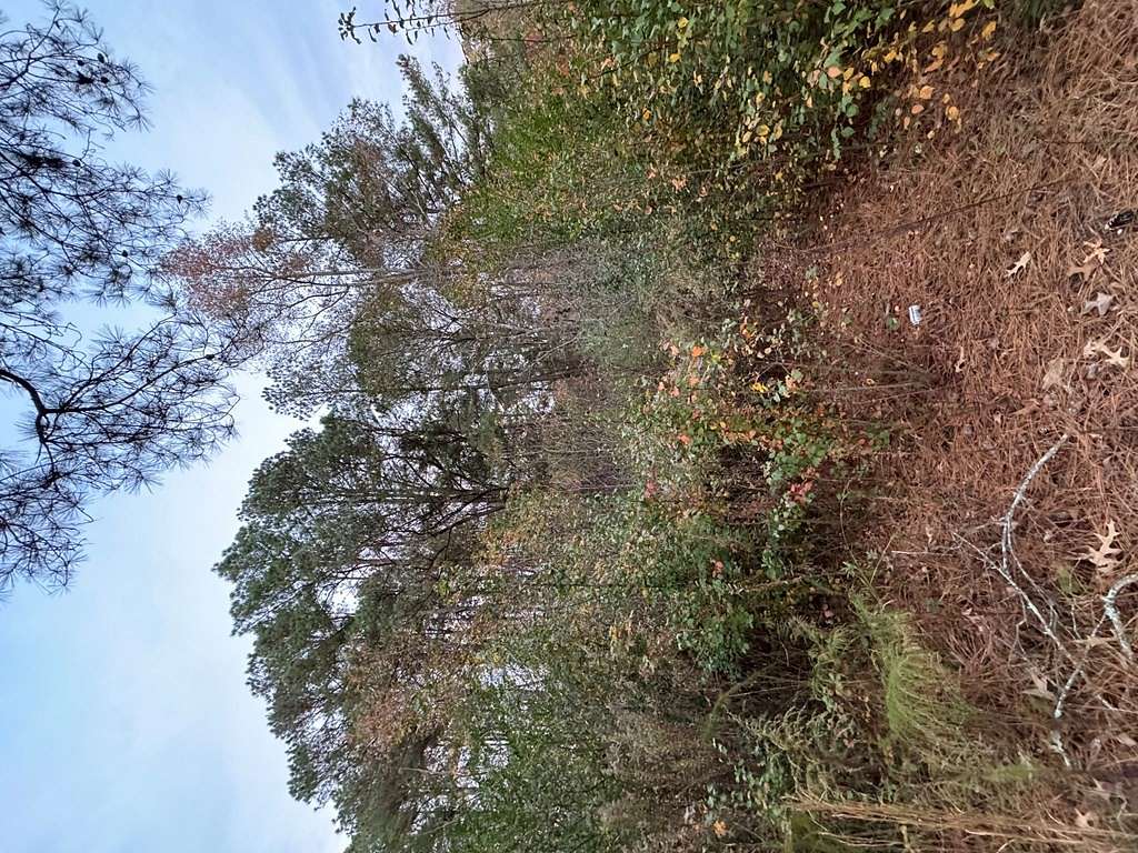 Residential Land for Sale in Woodland, Alabama