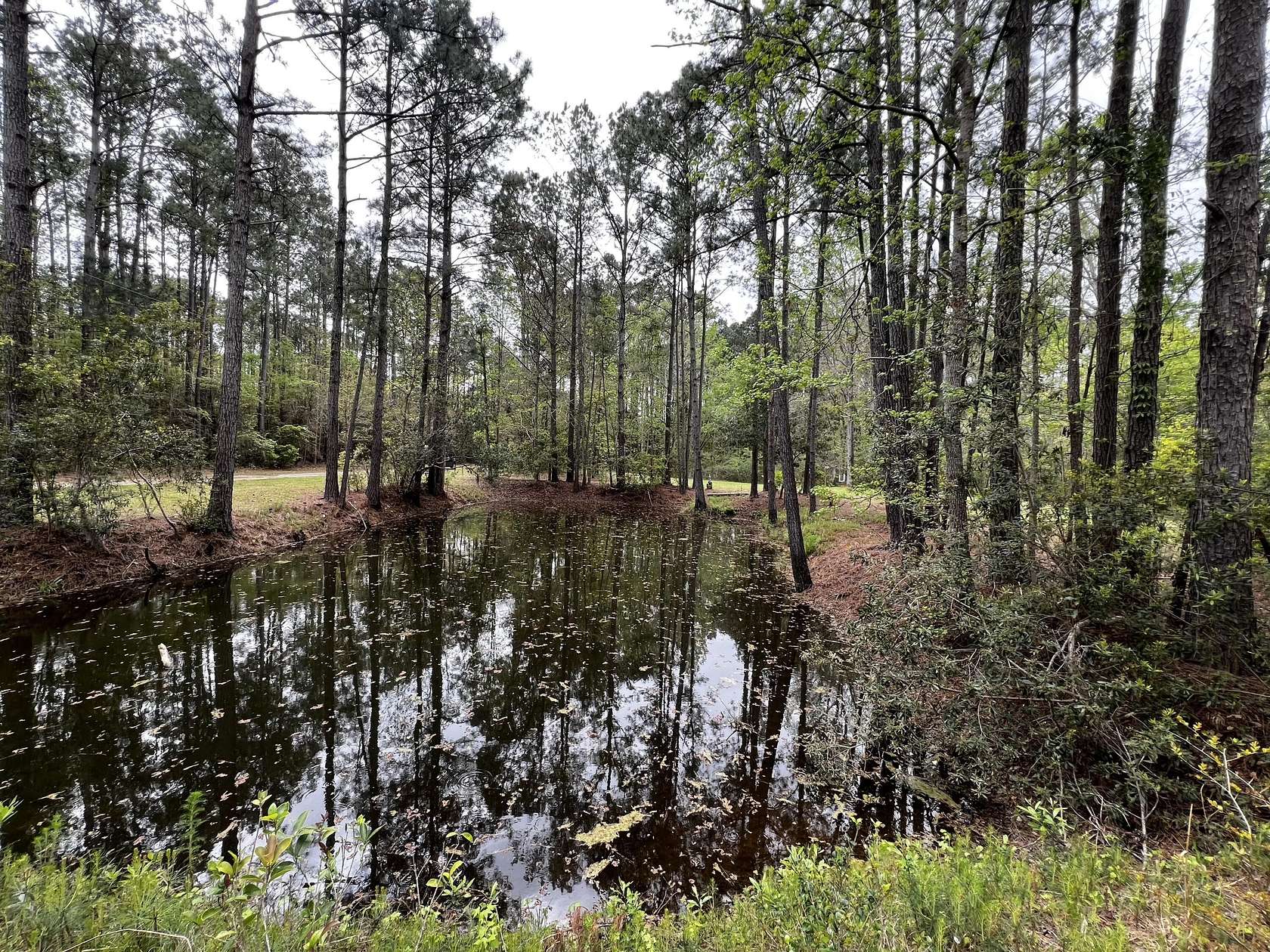 1.5 Acres of Residential Land for Sale in Edisto Island, South Carolina