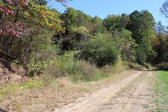 Spivey Branch Road leading along the south boundary