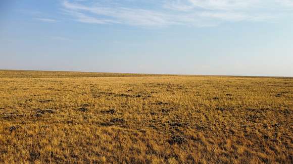 105 Acres of Recreational Land for Sale in Medicine Bow, Wyoming