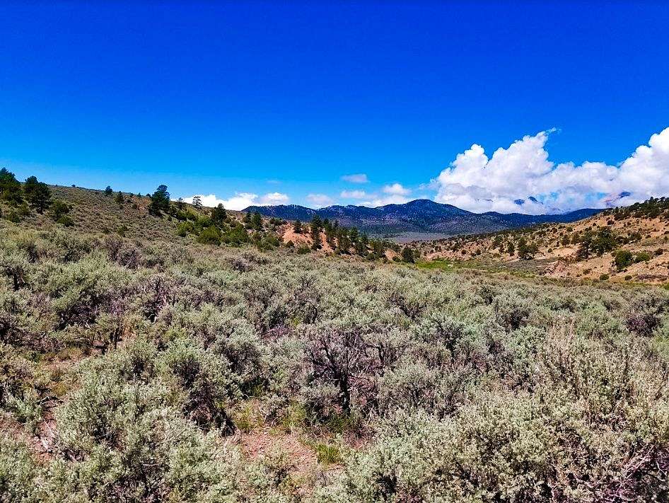 5 Acres of Land for Sale in Blanca, Colorado