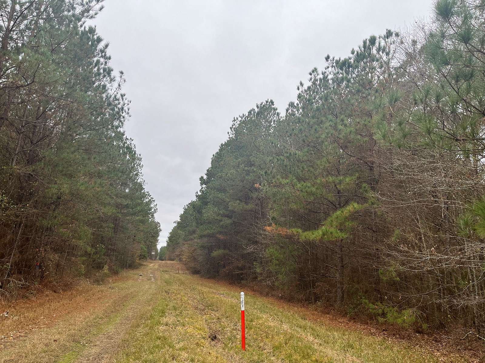 80 Acres of Recreational Land & Farm for Sale in Bodcaw, Arkansas