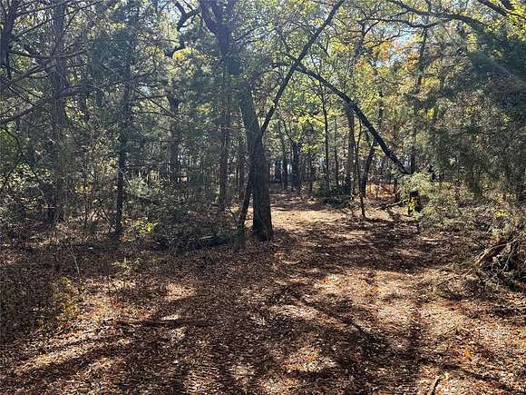 11 Acres of Land for Sale in Gainesville, Texas