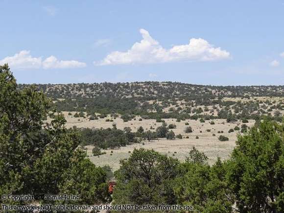 10.6 Acres of Recreational Land for Sale in Red Hill, New Mexico