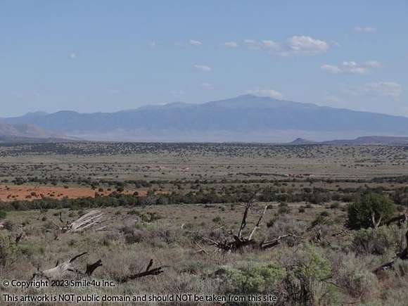 50 Acres of Recreational Land for Sale in Carrizozo, New Mexico