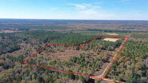 39.3 Acres of Land for Sale in Bivins, Texas