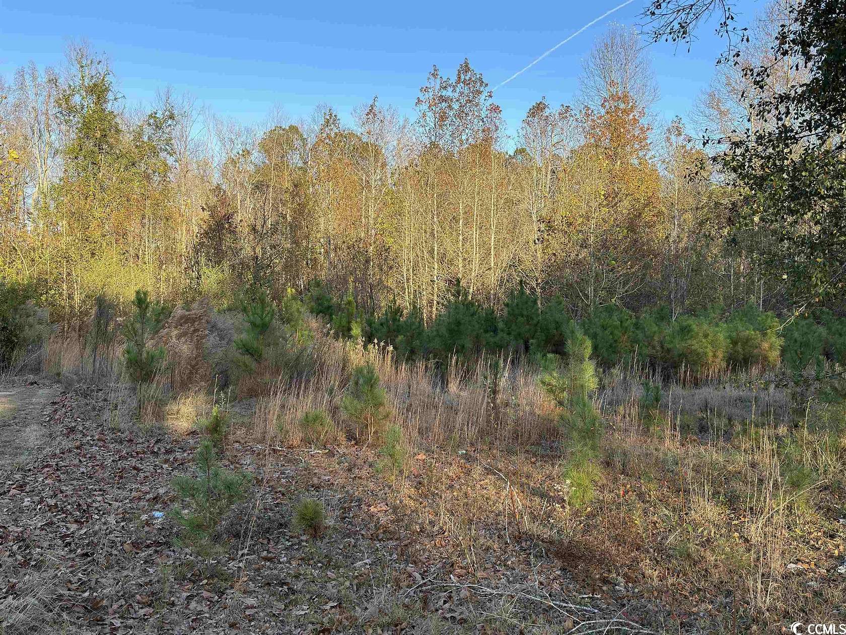 2 Acres of Residential Land for Sale in Lake View, South Carolina