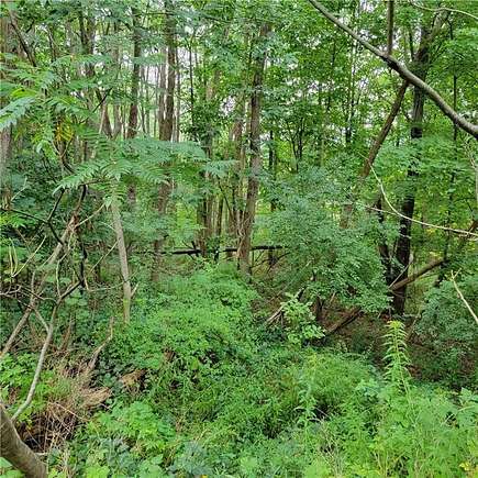 1.5 Acres of Land for Sale in Moravia, New York