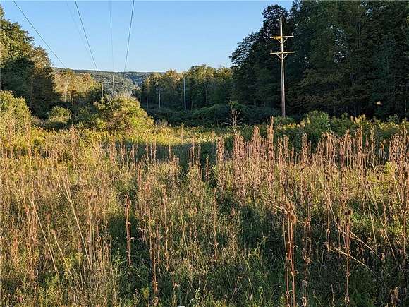 19.1 Acres of Recreational Land for Sale in Ithaca, New York