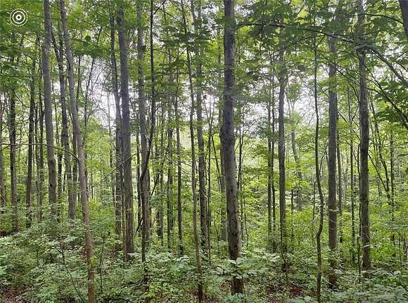 73 Acres of Recreational Land with Home for Sale in Chemung, New York