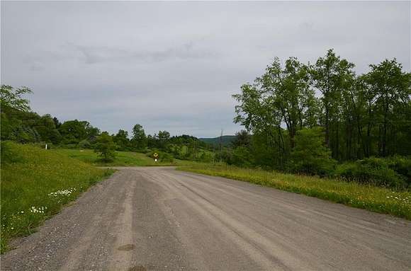 11.9 Acres of Land for Sale in Spencer, New York