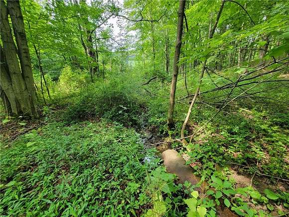 3 Acres of Land for Sale in Freeville, New York