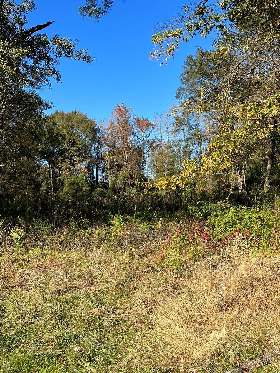 0.1 Acres of Residential Land for Sale in Atlanta, Texas