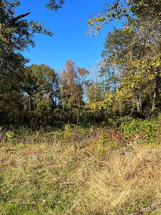 1 Acre of Residential Land for Sale in Atlanta, Texas