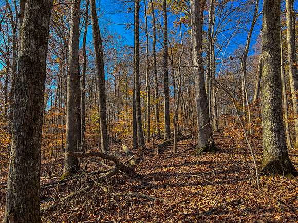92 Acres of Recreational Land for Sale in Burnsville, West Virginia