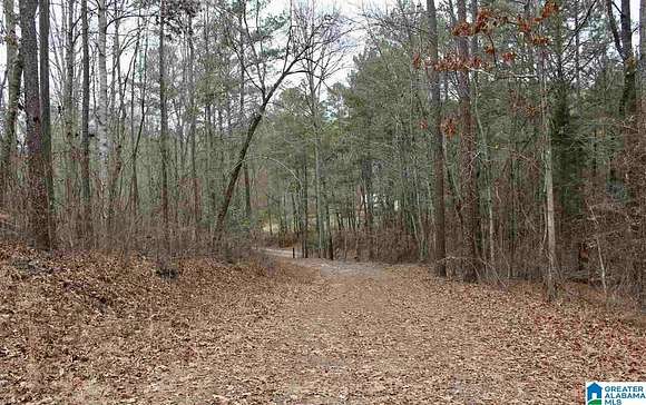 10.4 Acres of Land for Sale in Pell City, Alabama