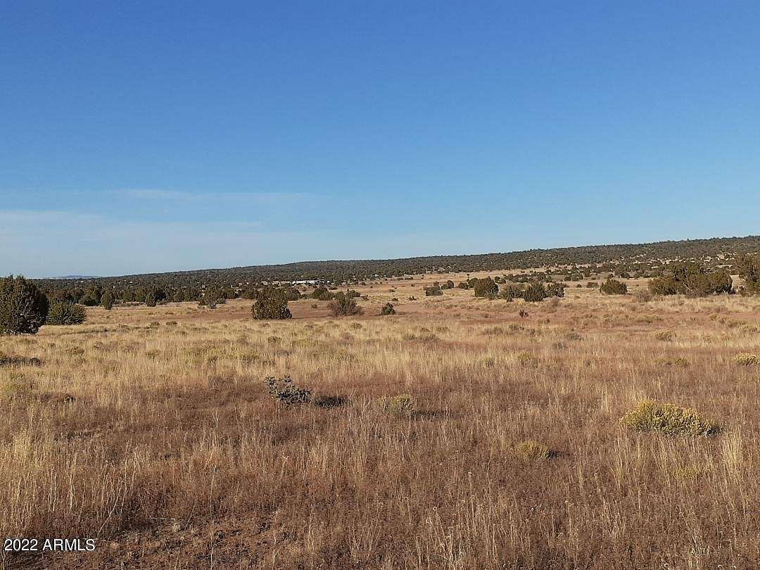 40.7 Acres of Recreational Land for Sale in Seligman, Arizona