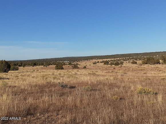 40.7 Acres of Recreational Land for Sale in Seligman, Arizona