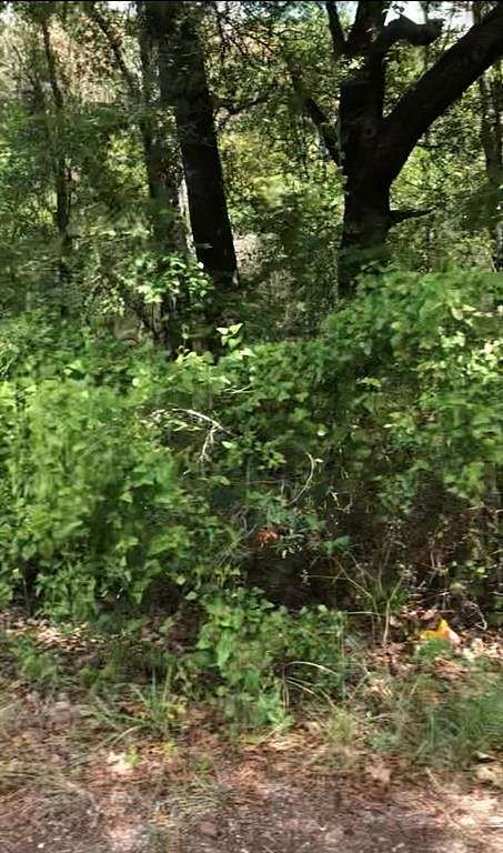 0.12 Acres of Land for Sale in Payne Springs, Texas