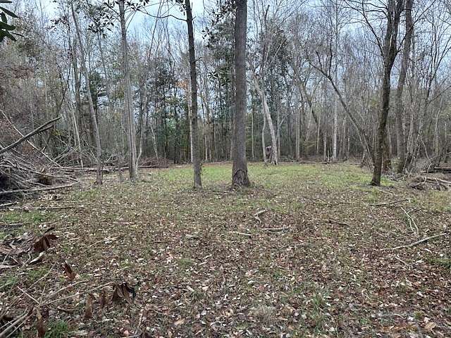 218 Acres of Recreational Land & Farm for Sale in Patsburg, Alabama