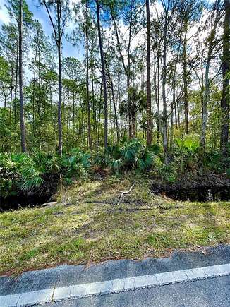 0.45 Acres of Residential Land for Sale in Daytona Beach, Florida