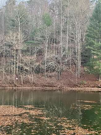 Residential Land for Sale in Robbinsville, North Carolina