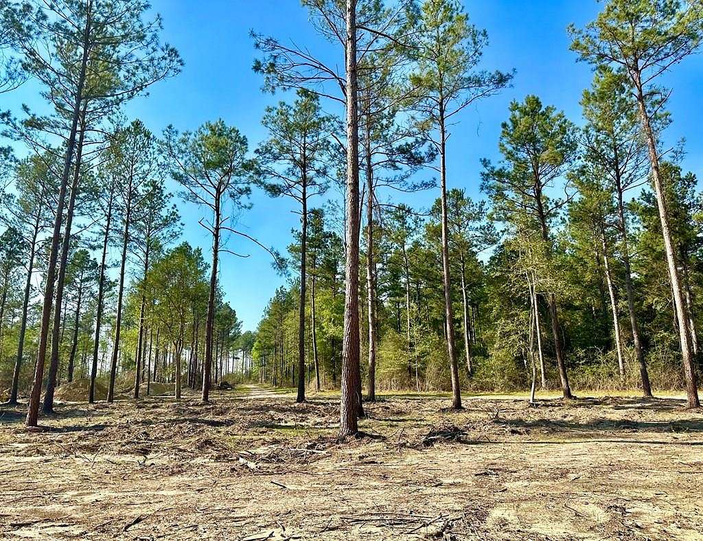 67.1 Acres of Land for Sale in Lufkin, Texas