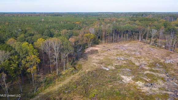 7 Acres of Land for Sale in Canton, Mississippi