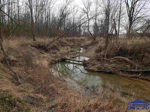 43 Acres of Recreational Land & Farm for Sale in Cory, Indiana