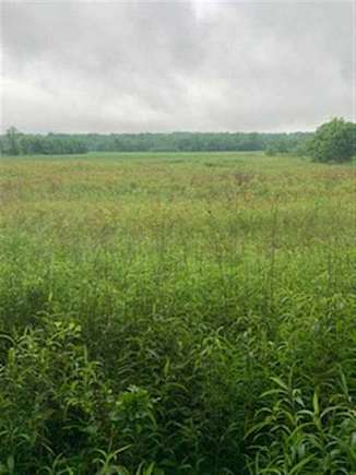 7 Acres of Land for Sale in Roachdale, Indiana