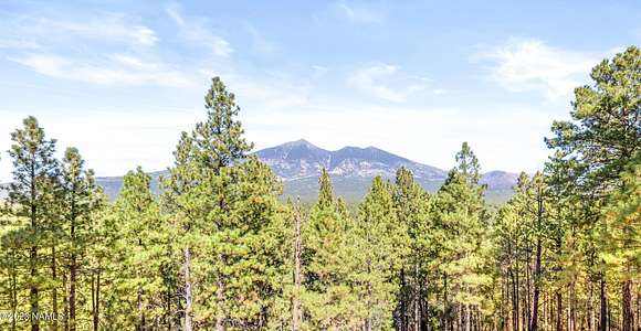 20.9 Acres of Land for Sale in Flagstaff, Arizona