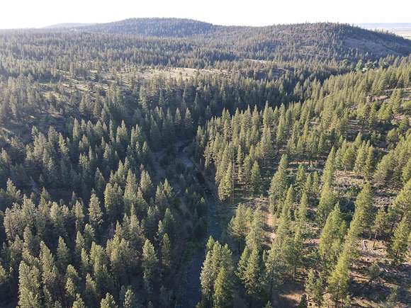 0.98 Acres of Land for Sale in Alturas, California