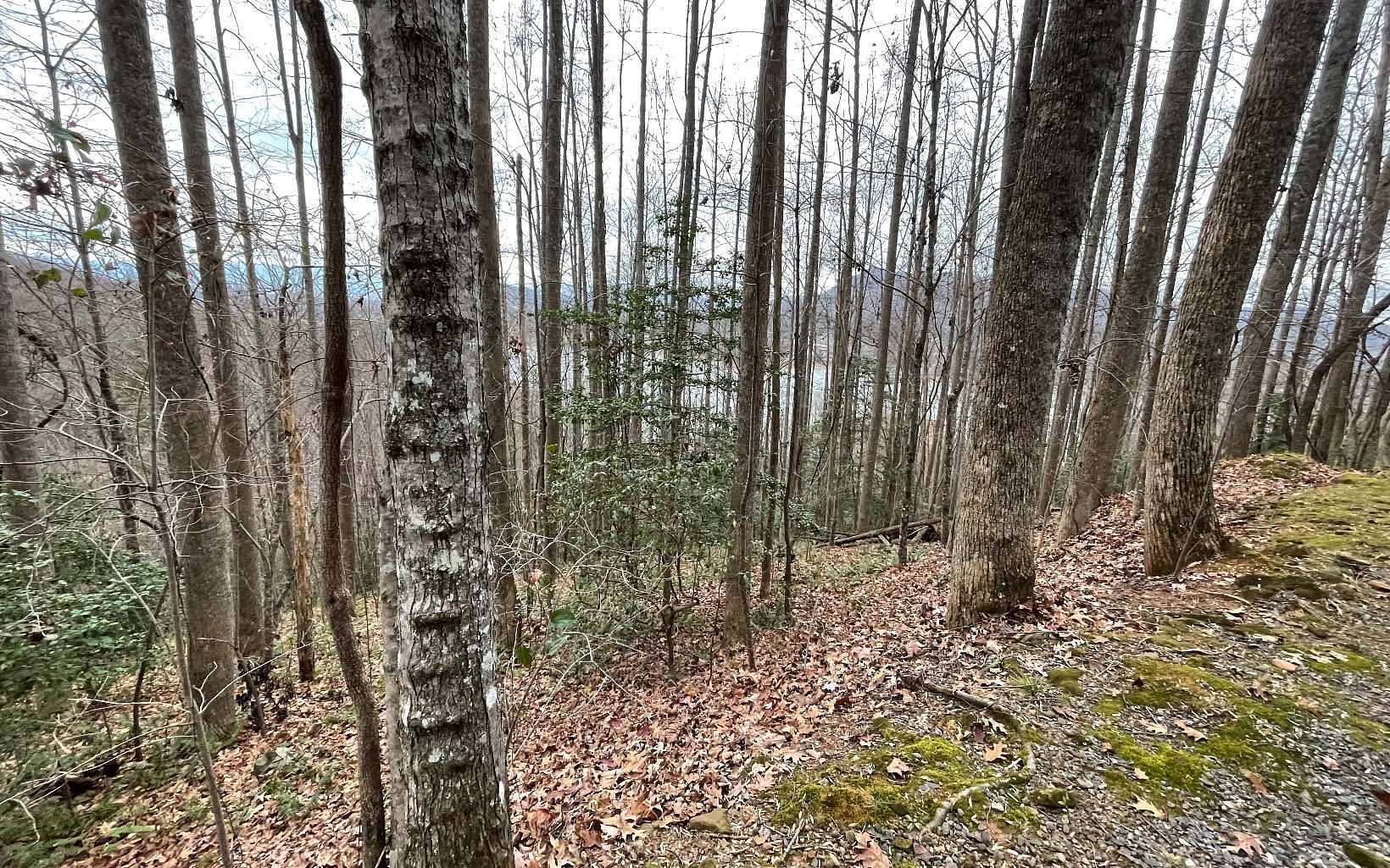 0.3 Acres of Land for Sale in Hiawassee, Georgia